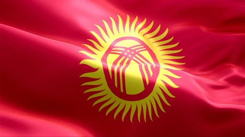 Flag of Kyrgyzstan waving in the wind. Stock Footage 129270684