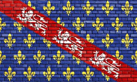 Flag of La Marche painted on brick wall Stock Illustration