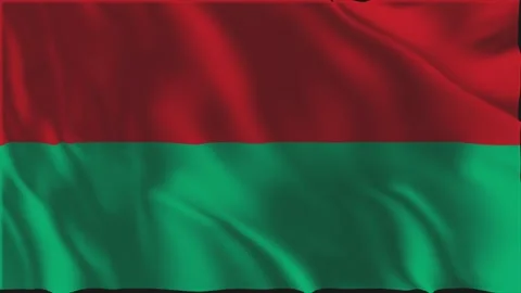 Flag of La Paz waving slowly Stockbeeldmateriaal 341688014