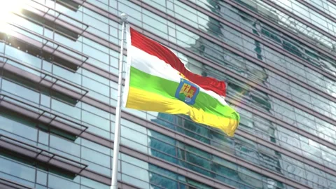 Flag of La Rioja (with coat of arms) Stock Footage 343557338