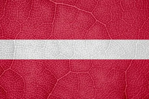 Flag of Latvia on the structure of a tree leaf macro Stock-Fotos