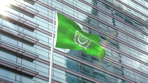 Flag of the League of Arab States Stock Footage 343559140