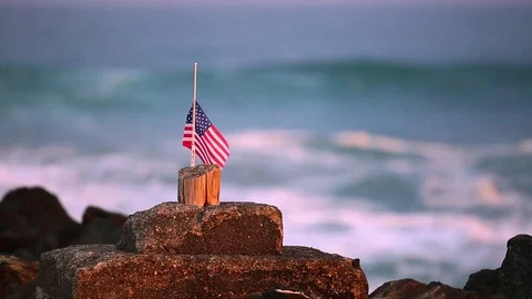 Flag Left Stock Footage 129519948