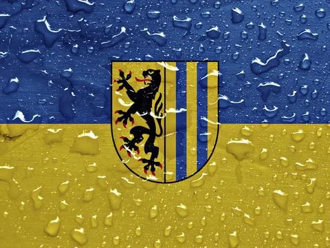 Flag of Leipzig with rain drops Stock Illustration