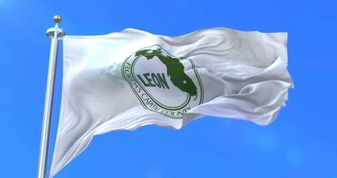 Flag of Leon, county of the state of Florida, in United States - loop Stock Footage 88087390