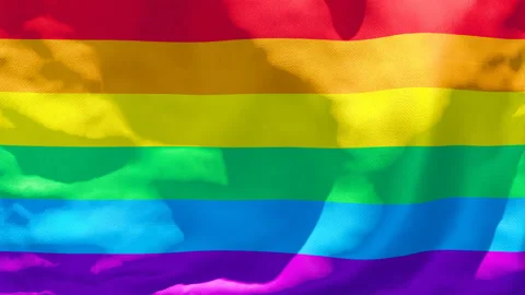 The flag of LGBT flutters in the wind Stock Footage 133394842