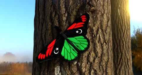 Flag of Libya on Butterfly Wings Realistic 4K UHD 60FPS Stock Footage 149985172