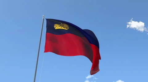 The flag of Liechtenstein Waving on the Wind. Stock Footage 43104071