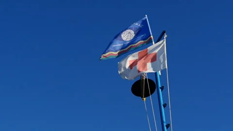 Flag of lifeguards on the beach Stock Footage 93461914
