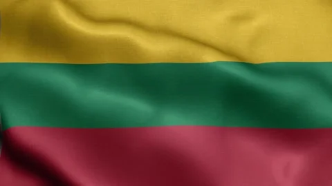 Flag of Lithuania fluttering in the wind. Video stock 221343409