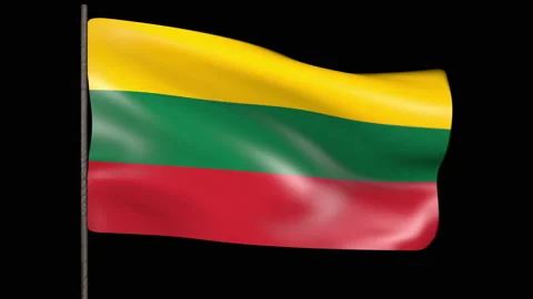 The flag of Lithuania flutters in the wind. 3d animation 動画素材 163944977