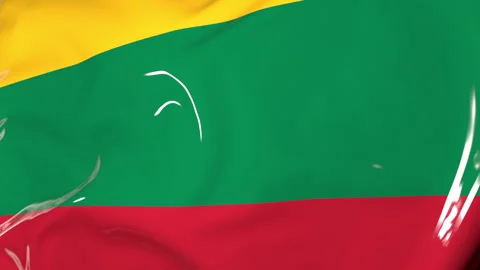 The flag of Lithuania flutters in the wind. Animation 3d 動画素材 205953291