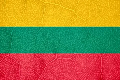 Flag of Lithuania on the structure of a tree leaf macro Foto stock