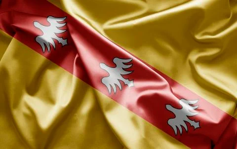 Flag of lorraine Stock Illustration
