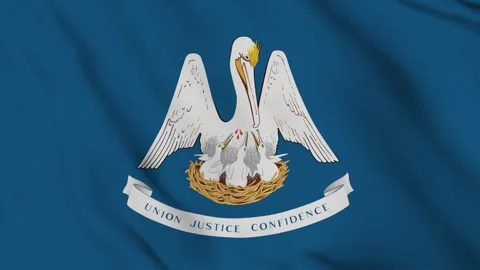Flag of Louisiana – 4K Seamless Loop of the Pelican State’s Official Banner Stock Footage 309663715