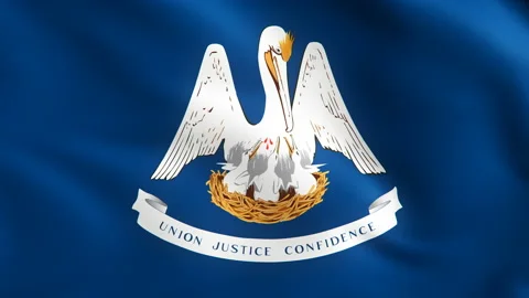 Flag of Louisiana Background Video Loop Stockbeeldmateriaal 117873273