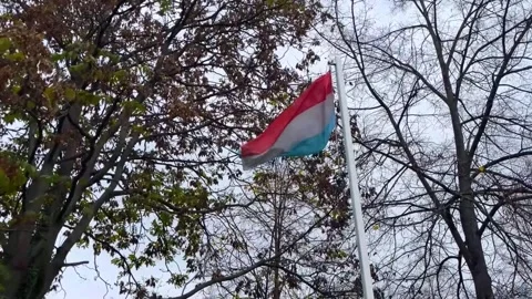 Flag of Luxembourg waving against a cloudy autumn sky in a peaceful park se.. Stock-Footage 329320145