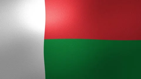 Flag of Madagascar with a detailed texture waving in the wind in a seamless loop Stock Footage 346327102