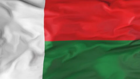 Flag of Madagascar Fluttering in the Wind. Animation 3d Видео 202101664