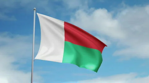Flag of Madagascar Video stock 445383