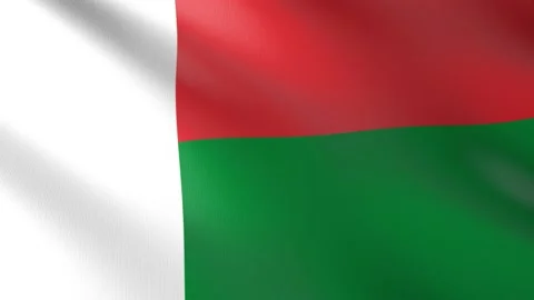 Flag of Madagascar Video stock 151435624