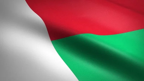 Flag of Madagascar. Waving flag with highly detailed fabric texture seamless Stock-Footage 121877684