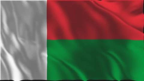 Flag of Madagascar waving slowly Stock-Footage 338202554