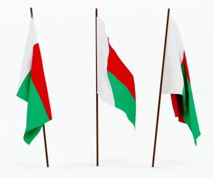 Flag of Madagaskar Stock Photos