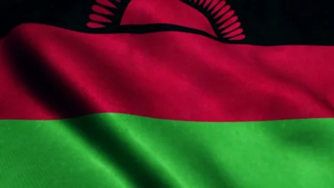 Flag of Malawi Beautiful 3d animation of The Malawi flag in loop mode Video stock 240174042