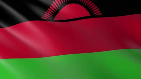 Flag of Malawi Video stock 151514535