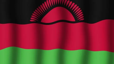 Flag of Malawi Vidéo 175823940