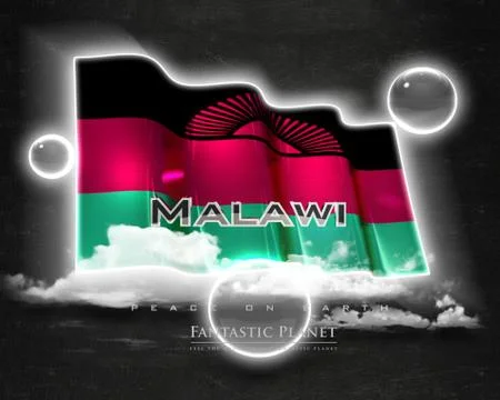 Flag Malawi quality designer flag Stock Illustration