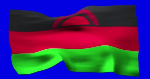 Flag of Malawi realistic waving on blue screen. Seamless loop animation wit.. Stock Footage 280996923