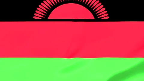 Flag of Malawi with red sun and green stripe waving Vídeo Stock 343573259