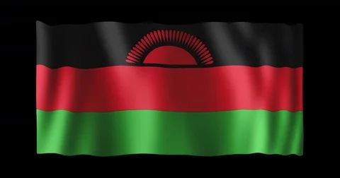 Flag of Malawi, seamless loop animation 動画素材 84015578