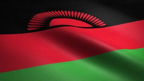 Flag of Malawi. Waving flag with highly detailed fabric texture seamless Stock Footage 121877643
