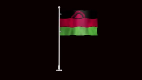 Flag of Malawi waving Stock Footage 320898340