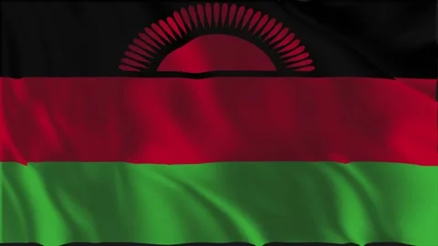 Flag of Malawi waving slowly Stock-Footage 338202580