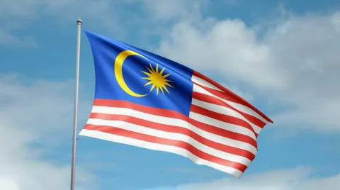 Flag of Malaysia 스톡 동영상 443418