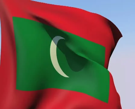 Flag of Maldives PAL 스톡 동영상 14578407