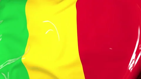 The flag of Mali flutters in the wind. Animation 3D 動画素材 205955305