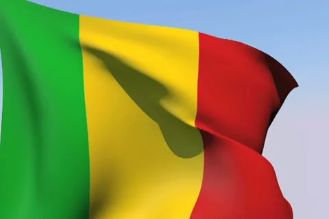 Flag of Mali NTSC Stock Footage 14581155