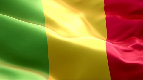 Flag of Mali waving in the wind. Stock Footage 129278939