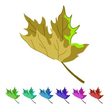 Flag maple leaf vector cartoon graphic Stock Illustration