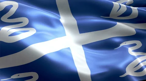 Flag Martinique Vídeos de archivo 47753077