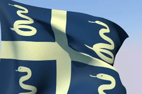 Flag of Martinique NTSC Stock Footage 14592733