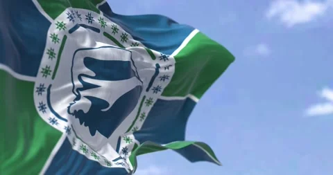 Flag of Martinique waving in the wind on a clear day Stock Footage 201624129