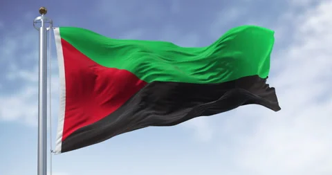Flag of Martinique waving in the wind on a clear day Stock Footage 334314954