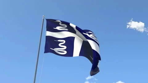 The flag of Martinique Waving on the Wind. Stock Footage 46966761