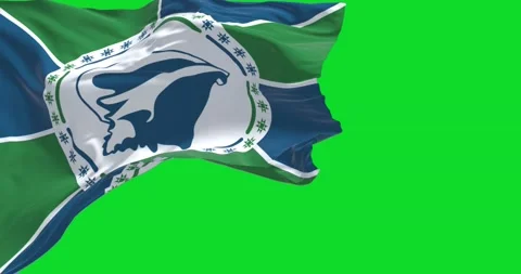 Flag of Martinique waving in the wind Stock Footage 201955196